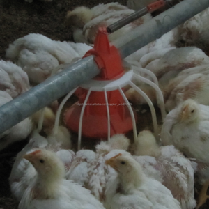<span class=keywords><strong>el</strong></span> precio de fábrica automática de pollo moderno para la granja de aves de <span class=keywords><strong>corral</strong></span> casas - Product Image 5