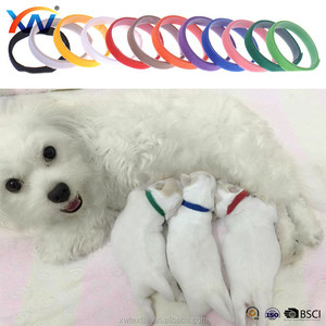 En gros 12 Couleurs Doux Collier de <span class=keywords><strong>Chien</strong></span>/Chiot Cou Bandes avec le Matériel En Nylon - Product Image 1
