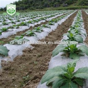 Película <span class=keywords><strong>de</strong></span> Cobertura para Mulching Huadun Negra y Plateada, Anti-Planta, <span class=keywords><strong>de</strong></span> Alta Resistencia, con Material <span class=keywords><strong>de</strong></span> PE, Precio <span class=keywords><strong>de</strong></span> Fábrica - Product Image 2
