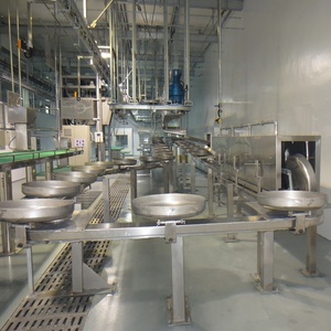 Dây Chuyền Sản Xuất Giết Mổ Tự Động Của Thiết Bị Bào Thai Lợn 200 Đầu Mỗi Ngày - Product Image 6