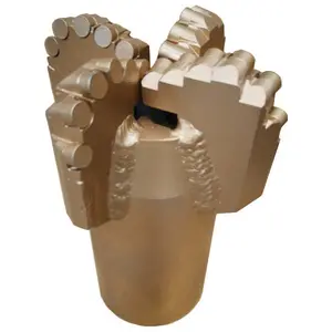 Lower price pdc drilling drag bit