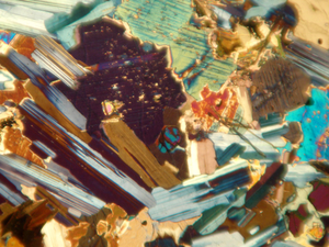 Jeoloji için iletilen ve yansıyan aydınlatma BestScope BS-5070TTR polarize mikroskop - Product Image 2