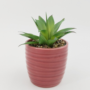 2019 nuevo diseño hogar Oficina escritorio decoración de cerámica mini <span class=keywords><strong>a</strong></span> granel <span class=keywords><strong>macetas</strong></span> de flores - Product Image 6