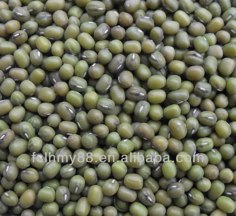 Northeast China green mung bean