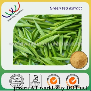 Alibaba China de la muestra libre caliente venta <span class=keywords><strong>extracto</strong></span> de té <span class=keywords><strong>verde</strong></span>, 100% natural green tea por kg - Product Image 1