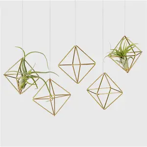 Elegante <span class=keywords><strong>maceta</strong></span> colgante de Metal dorado montada en la pared, diseño geométrico, soporte de marco de <span class=keywords><strong>maceta</strong></span> para uso en jardín, condición de suelo - Product Image 1