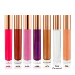 Waterproof High Pigment Custom Plump Lip Gloss Private Label Lipgloss Lipstick 5G Liquid Mineral OEM MSDS 7 Colors Makeup CN;GUA