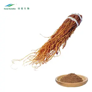 China Manufacturer Plant Extract Korean Red Ginseng Root P.E. 3%-15% Ginsenosides