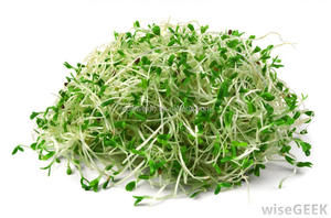 Brotes de soja pesadora multicabezal con <span class=keywords><strong>2</strong></span> años de garantía - Product Image 2