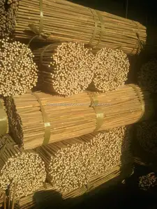 Tsinglee — bâton en bambou, diamètre 8-10mm, manche robuste et droit, lot de 7 pièces
