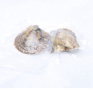 ไข่มุกน้ำเค็มเลี้ยงสีขาวขนาด 6-8 มม. ขายส่ง - Product Image 1