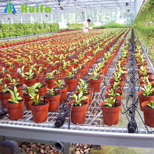 Vendita calda serra semina vivaio letto per agricoltura panca idroponica