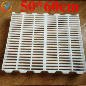 Papan Plastik Grosir Sistem Slat Babi Peternakan untuk Unggas 50*60Cm Alas Slat