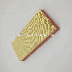 Filtro Aria PW811941 per Proton da Produttore Professionale - Product Image 4