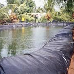 Bâche de bassin en LDPE/HDPE <span class=keywords><strong>renforcé</strong></span> Firestone avec stabilisateur UV pour l'aquaculture extérieure, 45 mil, vente en gros - Product Image 2