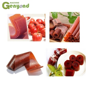 Nhà Máy Tự Động Trái Cây Cuộn lên Cạo Hình Thành Sấy Cắt Làm Máy Chế Biến Trái Cây Da Dây Chuyền Nhà Máy Sản Xuất - Product Image 6