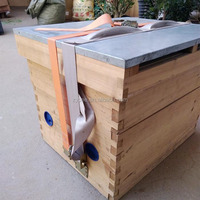 Plateau inférieur multifonction en plastique pour ruche, neuf, fournitures d'apiculture en provenance de Chine