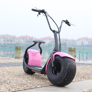 CEE Harley ciudad Coco 800 W (YHZ-DZ-050) - Product Image 1
