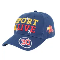 15 일 이내에 BSCI 공장 납품 주문 야구 모자 모자, 주문을 받아서 만들어진 스포츠 모자 모자, 스포츠 모자 및 모자