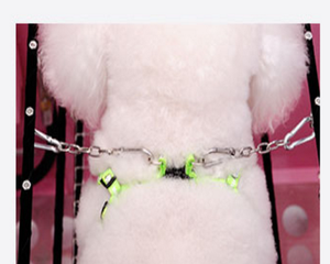 <span class=keywords><strong>ได</strong></span><span class=keywords><strong>ร์</strong></span>เป่า<span class=keywords><strong>ผม</strong></span>กรูมมิ่งสุนัขสแตนเลสและเหล็กอัตโนมัติเต็มรูปแบบเครื่องเป่าสัตว์ขนาดเล็ก - Product Image 6