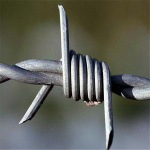 Precios más bajos <span class=keywords><strong>concertina</strong></span> razor alambre de púas filipinas peso <span class=keywords><strong>por</strong></span> <span class=keywords><strong>metro</strong></span> - Product Image 5