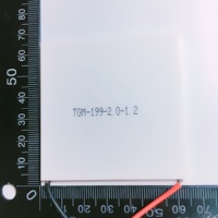 Modul Pembangkit Listrik Termoelektrik Taidacent TGM-199-2.0-1.2 62*62MM 7V 4.8A Suhu 260 Derajat
