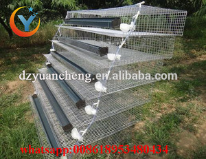 Ventes en gros direct d'usine <span class=keywords><strong>de</strong></span> cages d'élevage <span class=keywords><strong>de</strong></span> cailles à batterie (types H et A, bonne qualité, fabriqué en <span class=keywords><strong>Chine</strong></span>) - Product Image 3
