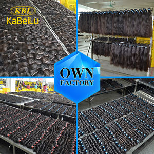 Heißer Verkauf Russland glattes jungfräuliches Haar, rk Haar produkte echtes indisches Haar, Dreamron Haarfarbe brasilia nisches Haar Deutschland Verlängerungen - Product Image 6