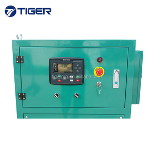 Generador eléctrico de gas natural, certificado CE, 20kw, 30kw, 40kw, 50 kw, 80kw, 100kw - Product Image 6