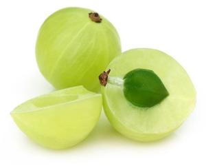<span class=keywords><strong>Poudre</strong></span> d'extrait de fruit d'Amla très vendue, <span class=keywords><strong>poudre</strong></span> d'<span class=keywords><strong>Alma</strong></span> - Product Image 2