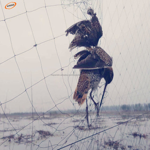 Las redes de aves para la captura de aves/anti- de aves en las redes de redes de plástico/de aves redes de niebla - Product Image 6