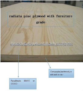 pinus Sylvestris Cdx plywood /<span class=keywords><strong>Radiata</strong></span> Pine Cdx Plywood /Cdx Plywood with Eucalyptus core - Product Image 1