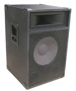 12inch Pro Audio Speaker Box