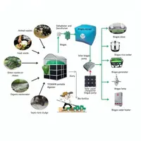 Teenwin - Portable Biogas Assembled Plant for Pig, Cow