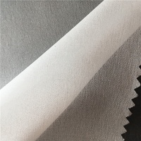 Entretela Fusible 30D, 100% Poliéster, Revestimiento PES PA, Adhesivo, Tela de Voile Tejida para Confección de Prendas