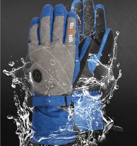 Waterdichte stof Polyester PU Lederen Palm Goedkope Ski Handschoenen/Sneeuw Handschoenen