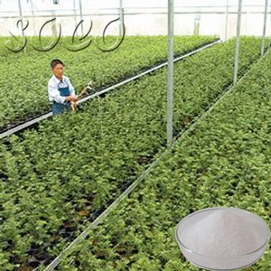 Ahorrador de fertilizantes polímero acrílico basado en potasio para <span class=keywords><strong>la</strong></span> empresa agroquímica popular en Costa Rica - Product Image 6