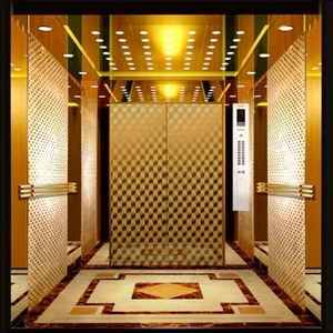 Poros Kecil Lift/Lift Rumah Kecil/Rumah Kecil Lift untuk 4 Orang - Product Image 5
