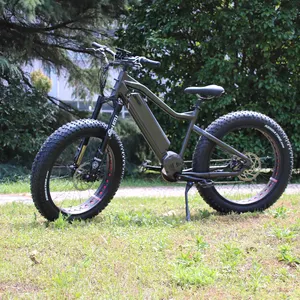 Leili raptor-Bicicleta eléctrica de llanta ancha, 48v, 1000W, mtb, gran oferta