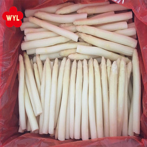 Asparagi Bianchi Surgelati IQF in Confezione da 1kg o su Richiesta del Cliente 10 Kg Asparagi Freschi Tipici Surgelati IQF - Product Image 3