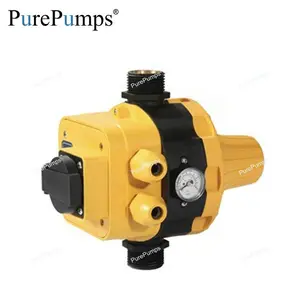 mini type surface water booster pump using 10 bar automatic high pressure controller switch