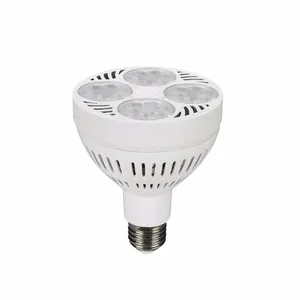 Down Light Led 35w ETL CE ROHS Approved PAR30/PAR38 Ceiling LED Light 35W/40W Par30 Flood Light Bulb