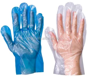 Wholesale daily use glove transparent glove kitchen use with private label