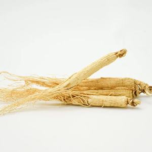 <span class=keywords><strong>Ginseng</strong></span>