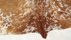 Cow Hide Rug - Product Image 6