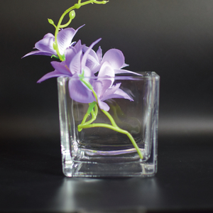 Vevor — <span class=keywords><strong>vase</strong></span> en verre <span class=keywords><strong>carré</strong></span> transparent de haute qualité, cube, <span class=keywords><strong>vase</strong></span> à pression - Product Image 3