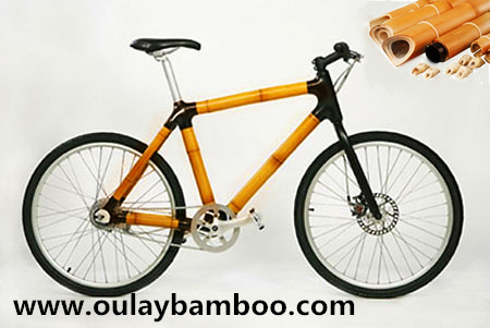 Environmental Personality Bamboo Bike Mountain Bicycle