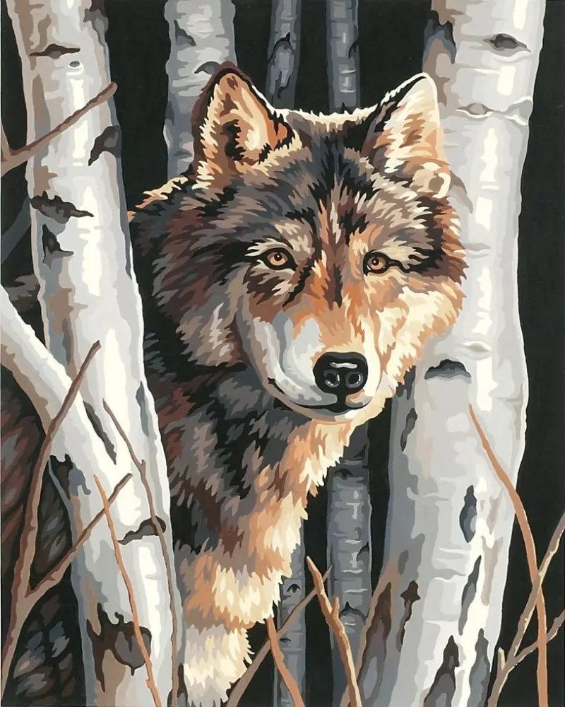 GZ438- 40*50 Wolf In Bos Gratis Stof Schilderen Ontwerpen Diy Diamant Schilderen