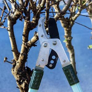 Tefl-n-coated Telescopic Garden Scissor/pruning Scissor/<strong>long</strong> <strong>Handle</strong> Lopping <strong>Shears</strong> - Product Image 6