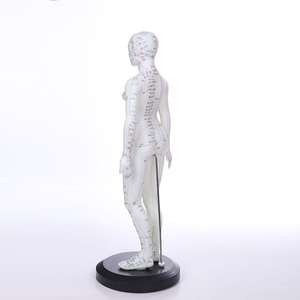 170 ซม.มาตรฐานเข็มจุดมนุษย์ฝังเข็มชุด - Product Image 1